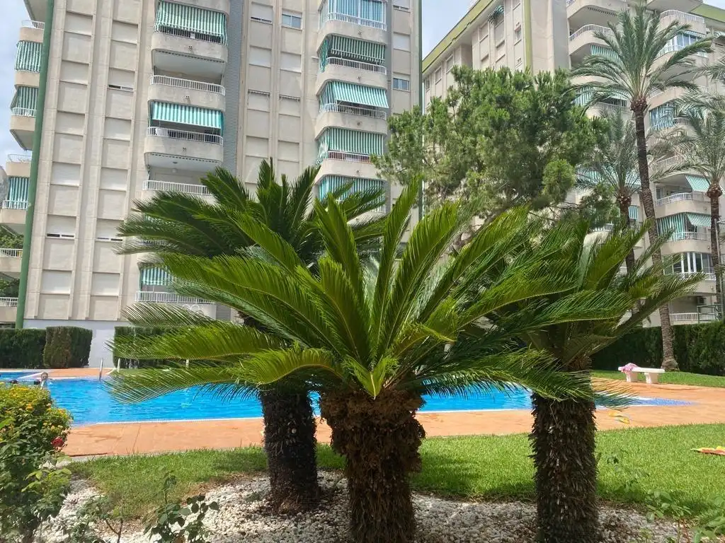 Apartament de lloguer a Plaza Elíptica - República Argentina