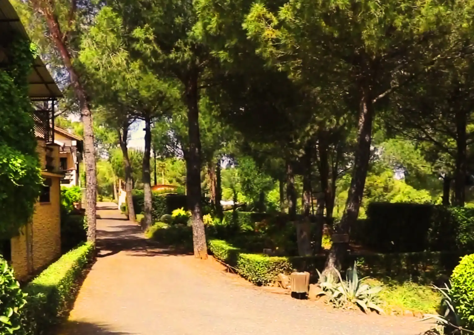 Exterior view of Buildings for sale in Calañas  with Community pool