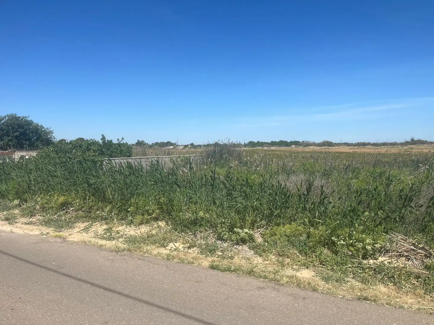 Residencial en venda en Alfajarín