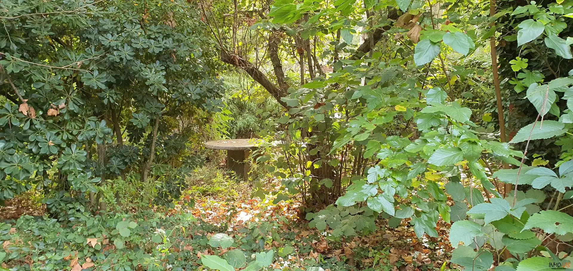 Residential land for sale in Vallgorguina, imagen 3