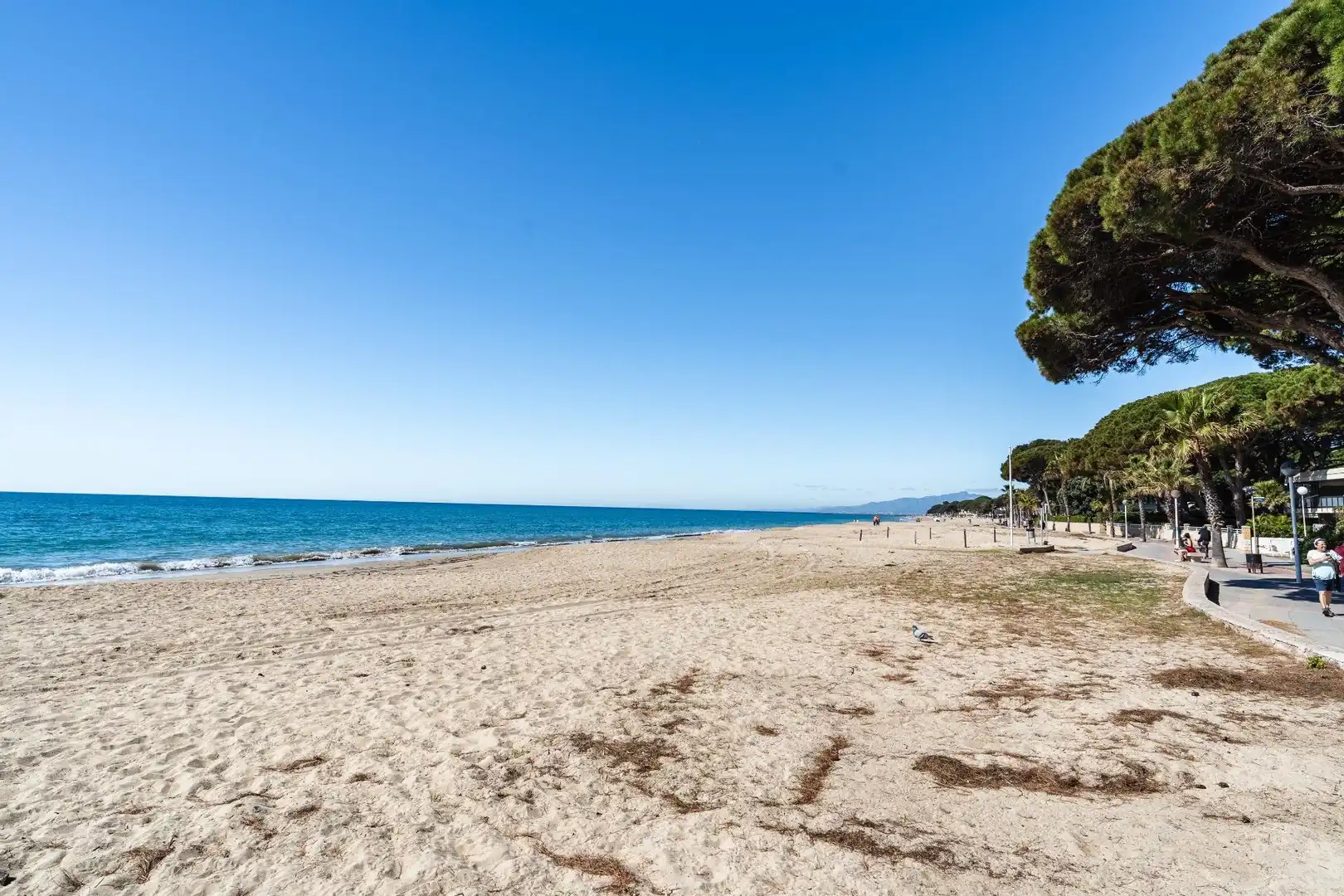 Vista exterior de Casa o xalet en venda en Cambrils amb Aire condicionat, Calefacció i Jardí privat