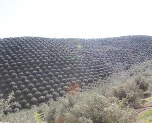 Vista exterior de Finca rústica en venda en Alcaracejos amb Traster i Piscina