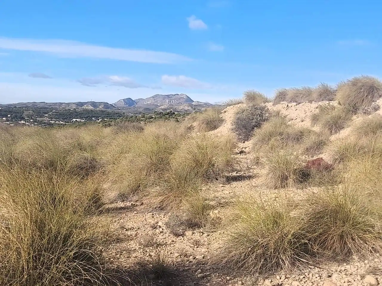 Terreno en venta en Elche / Elx