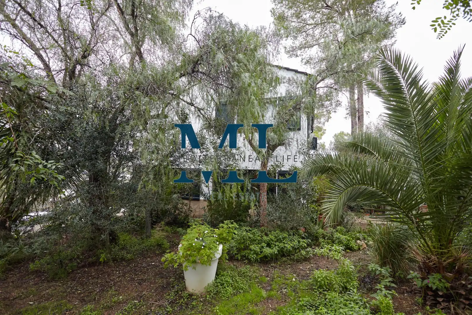 Exterior view of Houses for sale in Mas Alba