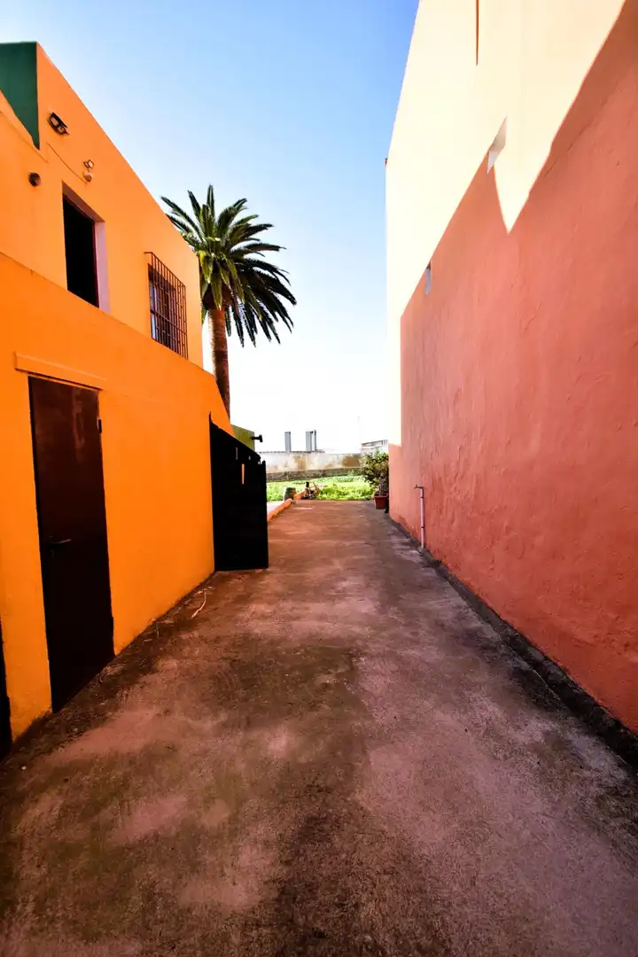 Vista exterior de Casa o chalet en venta en Tacoronte con Jardín privado y Terraza
