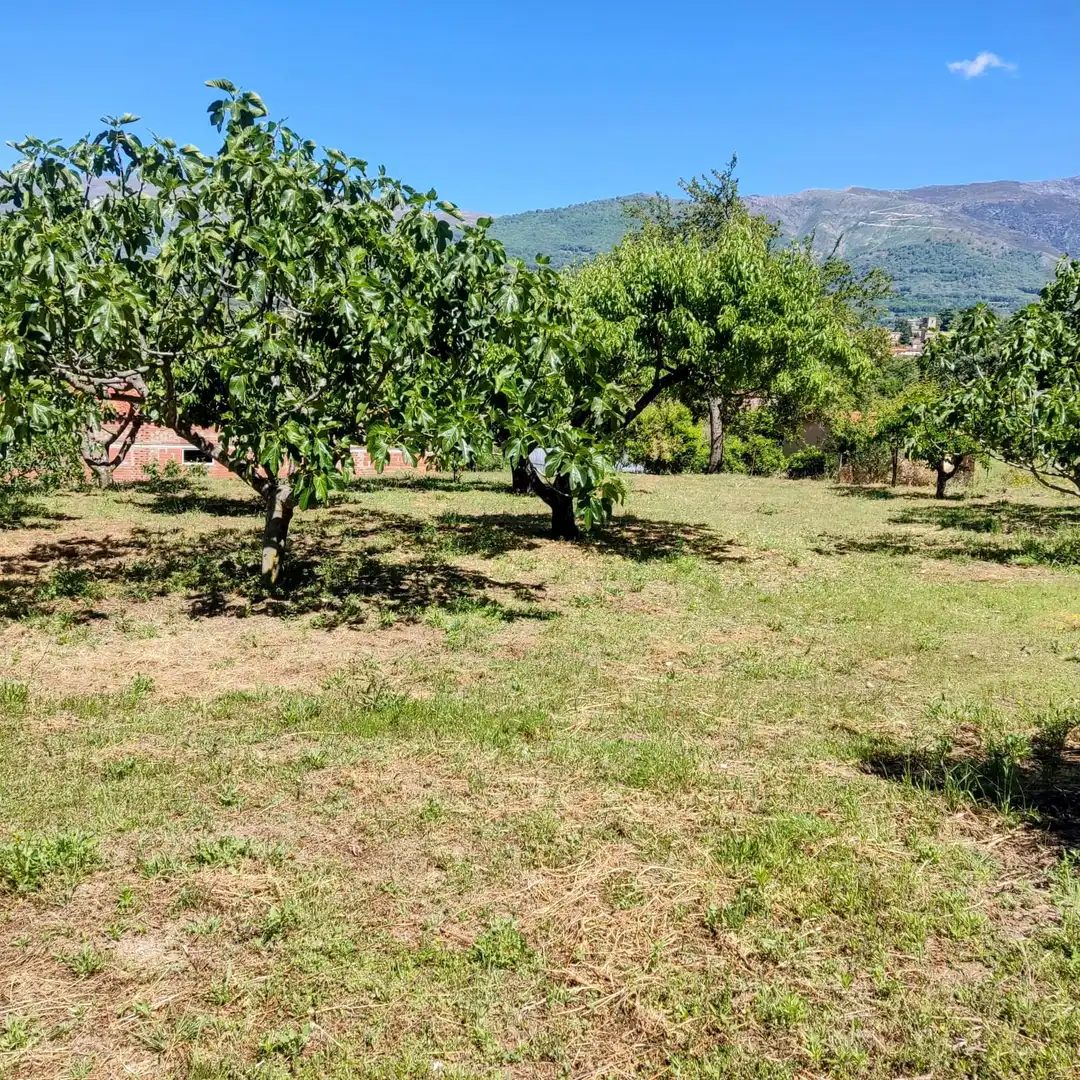 Terreni e lotti in vendita a Jarandilla de la Vera, imagen 16