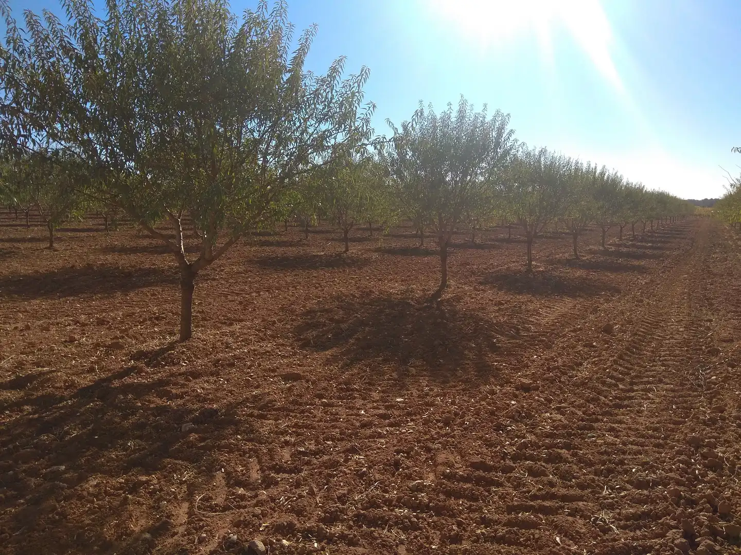 Terreni e lotti in vendita a Las Mesas, imagen 27