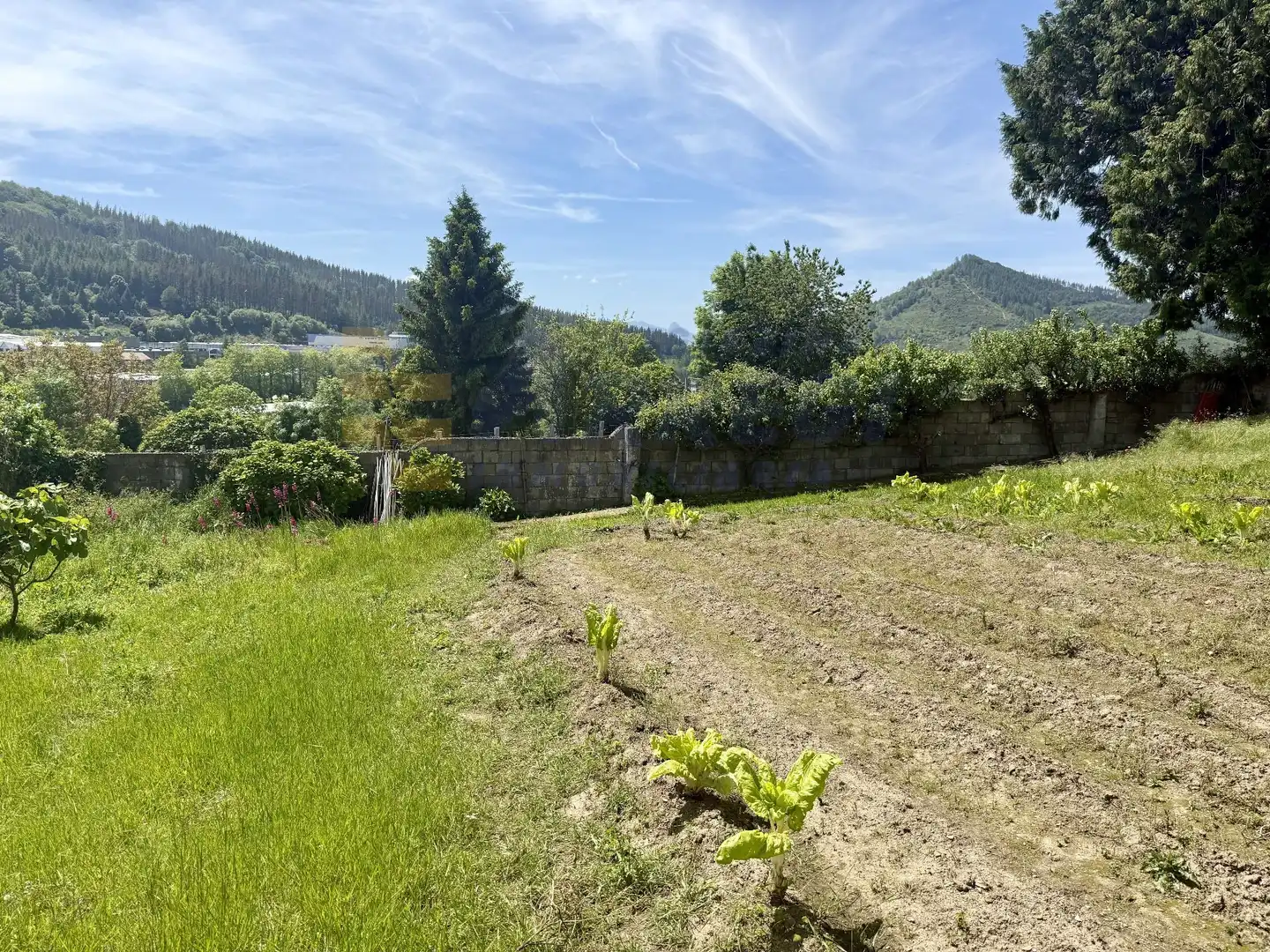 Houses for sale in Elgeta  with Private garden