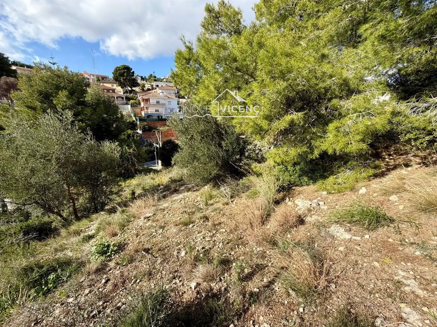 Terreno rustico in vendita a Torre Dels Escipions, imagen 6