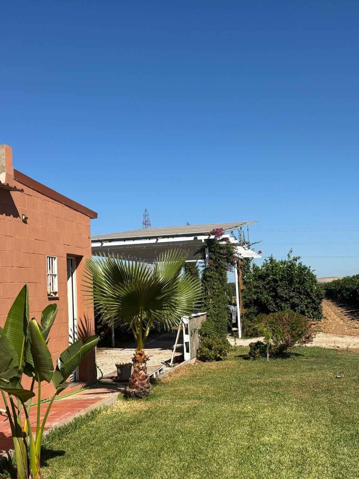 Exterior view of Country house for sale in Cantillana  with Swimming Pool