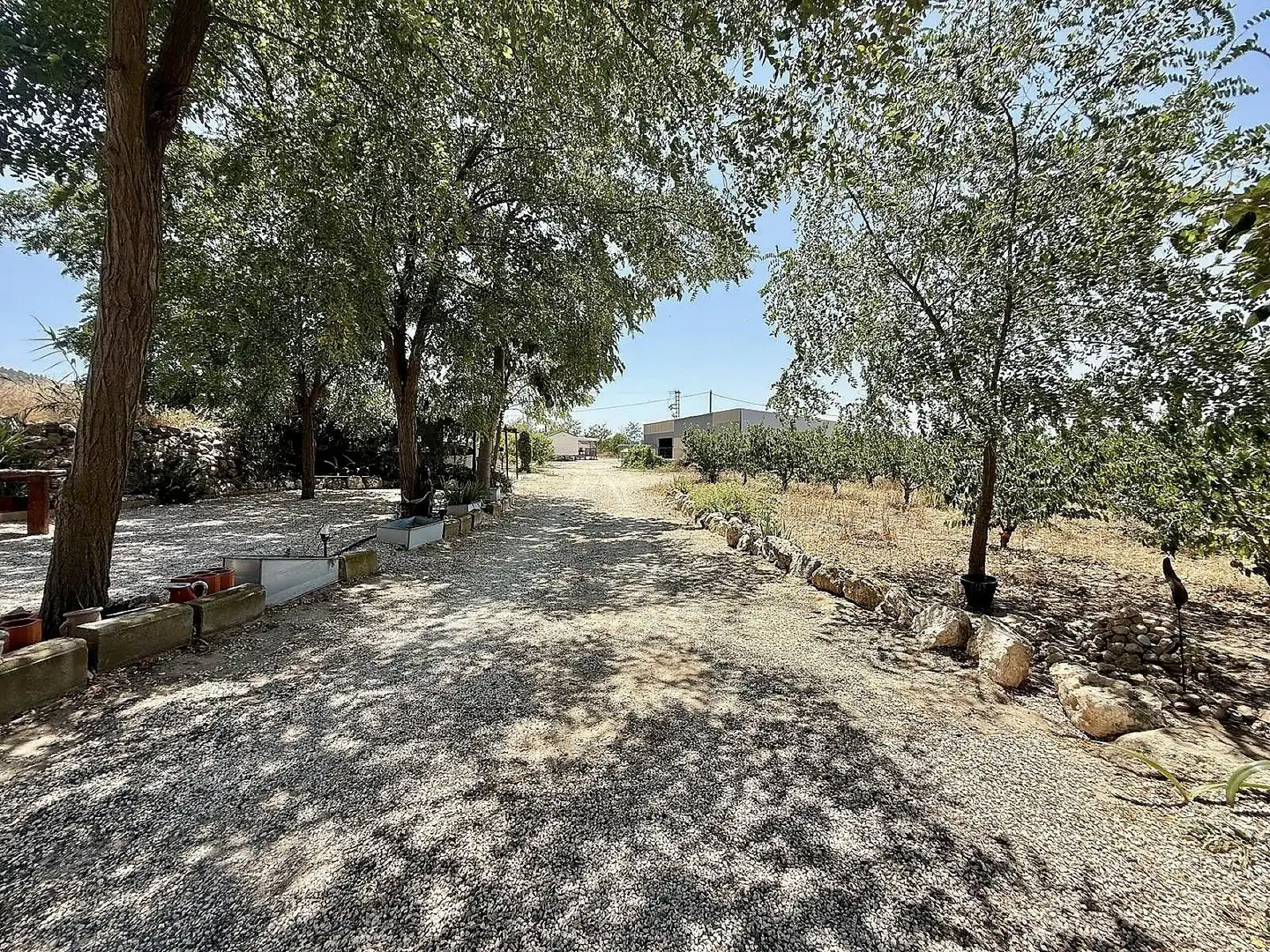 Finca rústica en venda en Villena