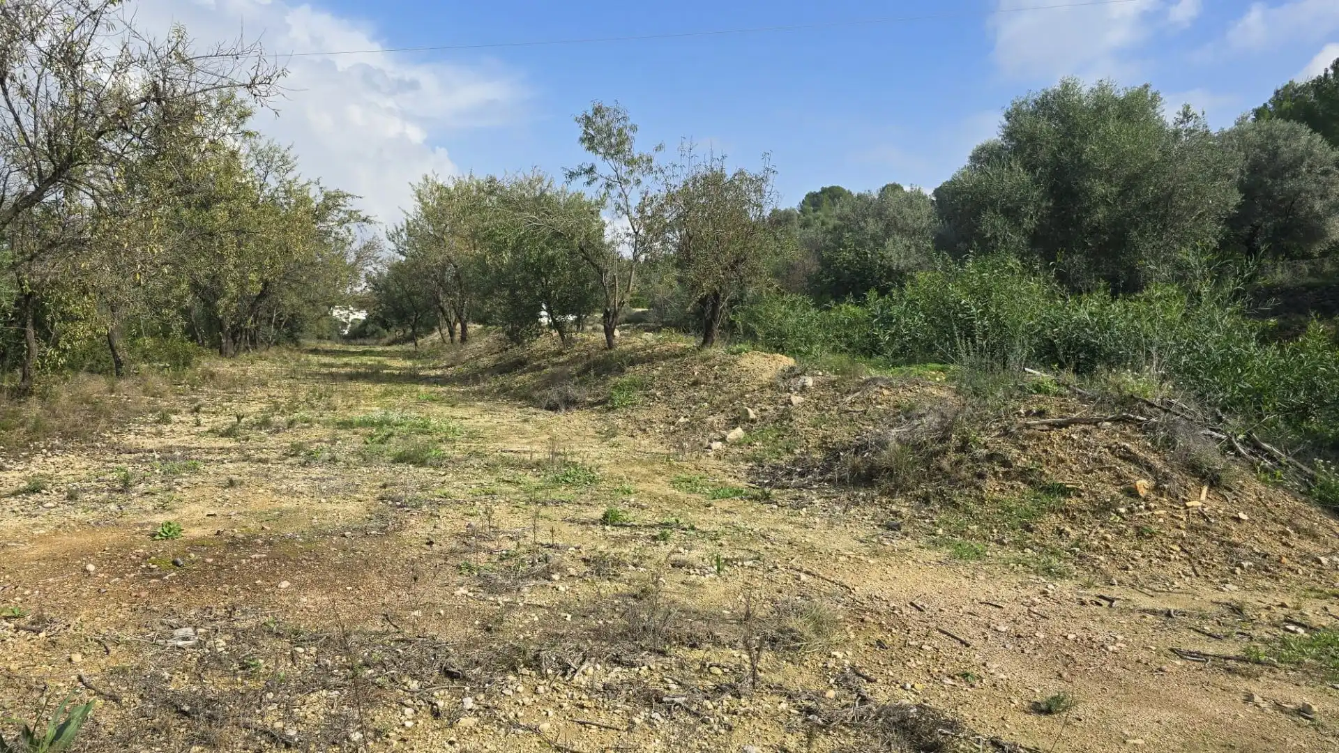 Terrenys i solars en venda a Orba, imagen 13