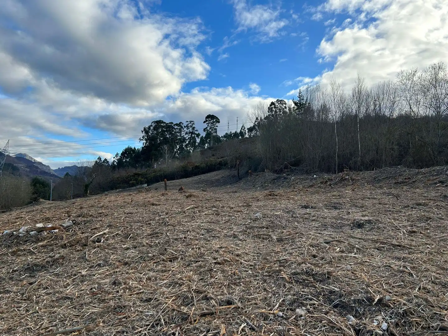 Terrenos y solares en venta en Parres, imagen 6