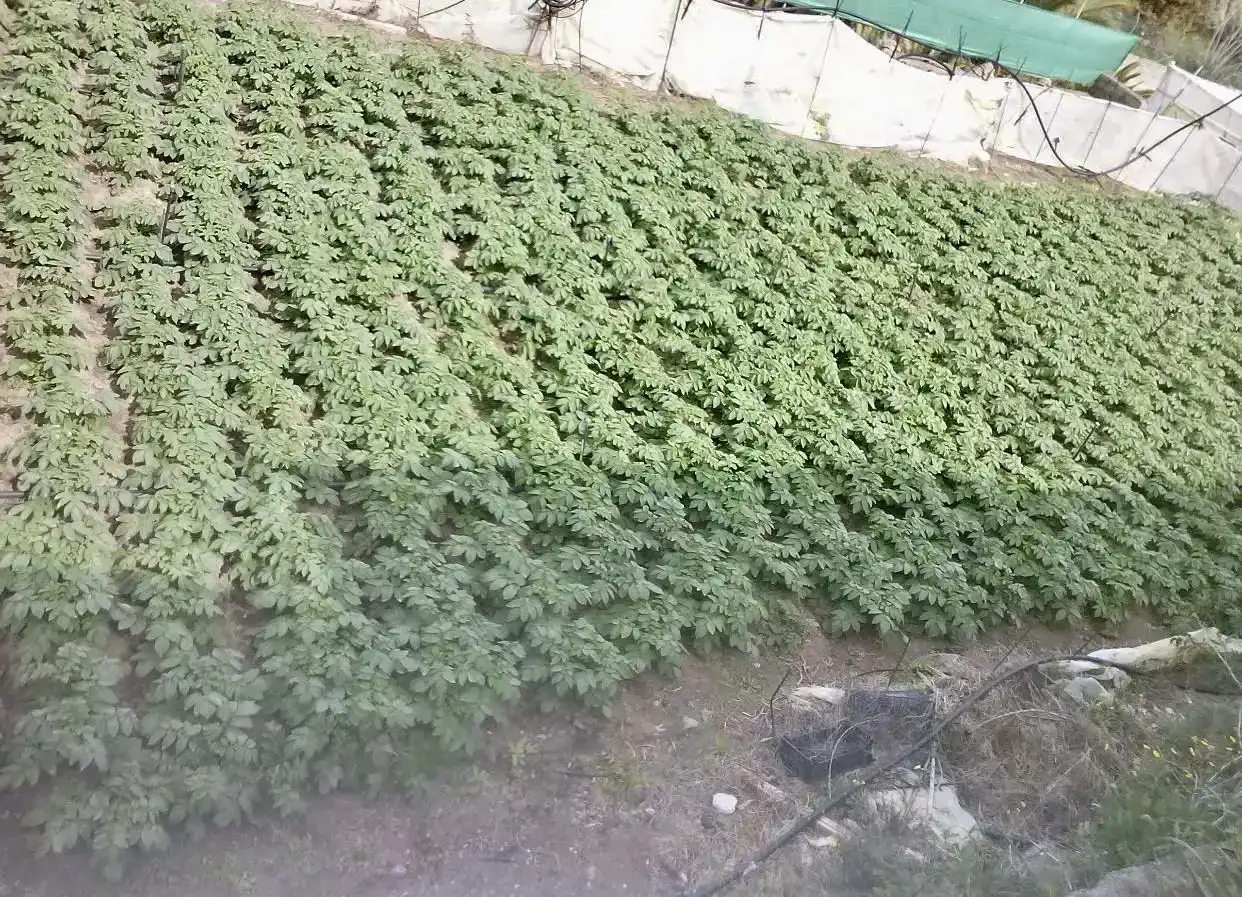 Finca rústica en venta en Telde con Jardín privado, Trastero y Amueblado