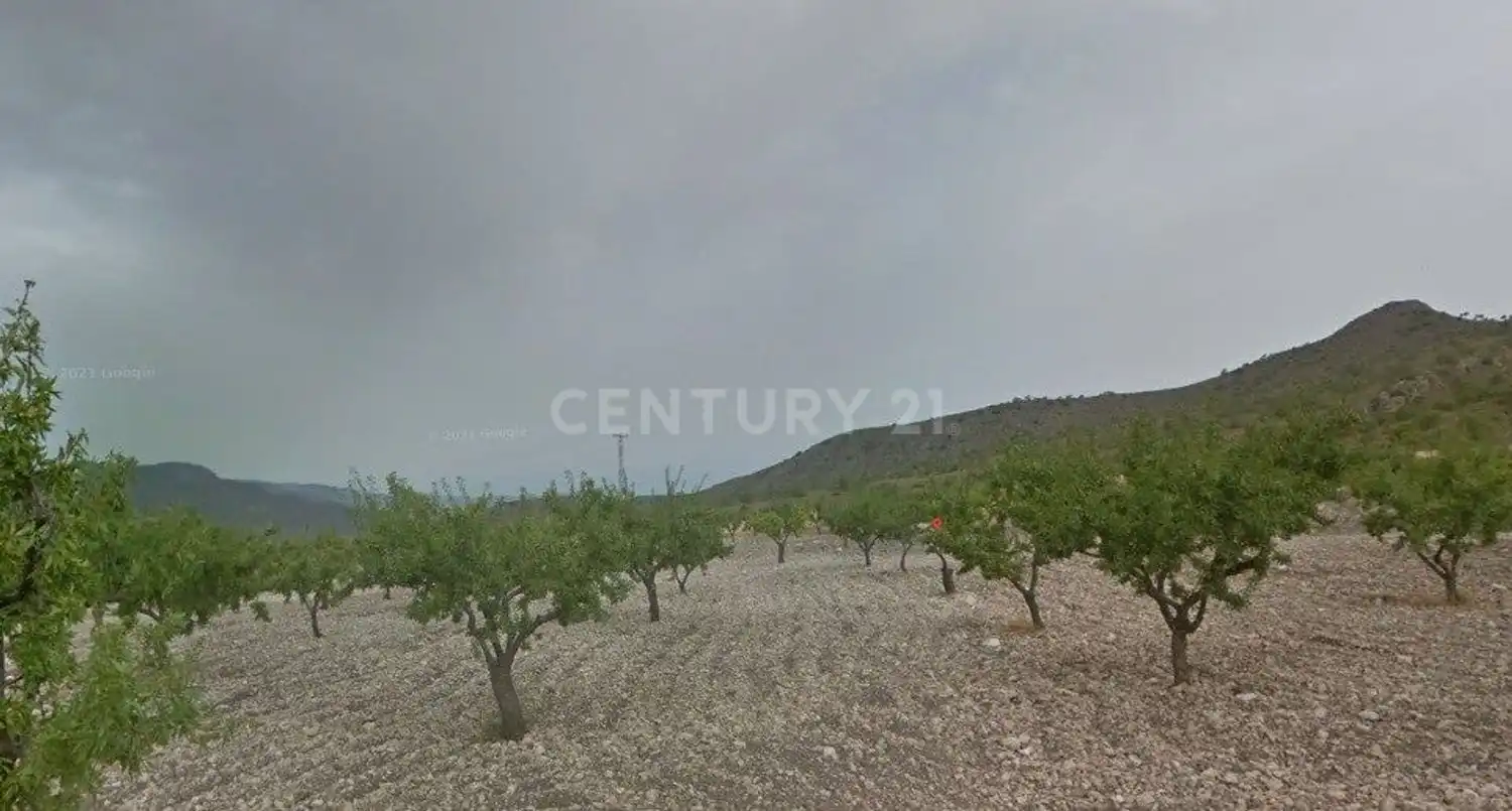 Land for sale in Diseminado, 1, Aledo