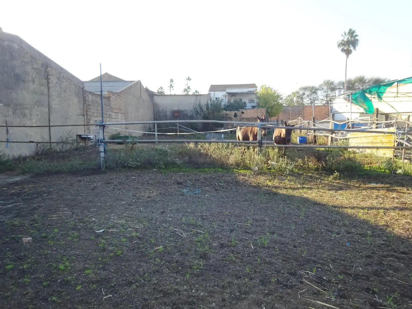 Industrial building for sale in Carretera Cr. Circunvalación CN 431, imagen 28