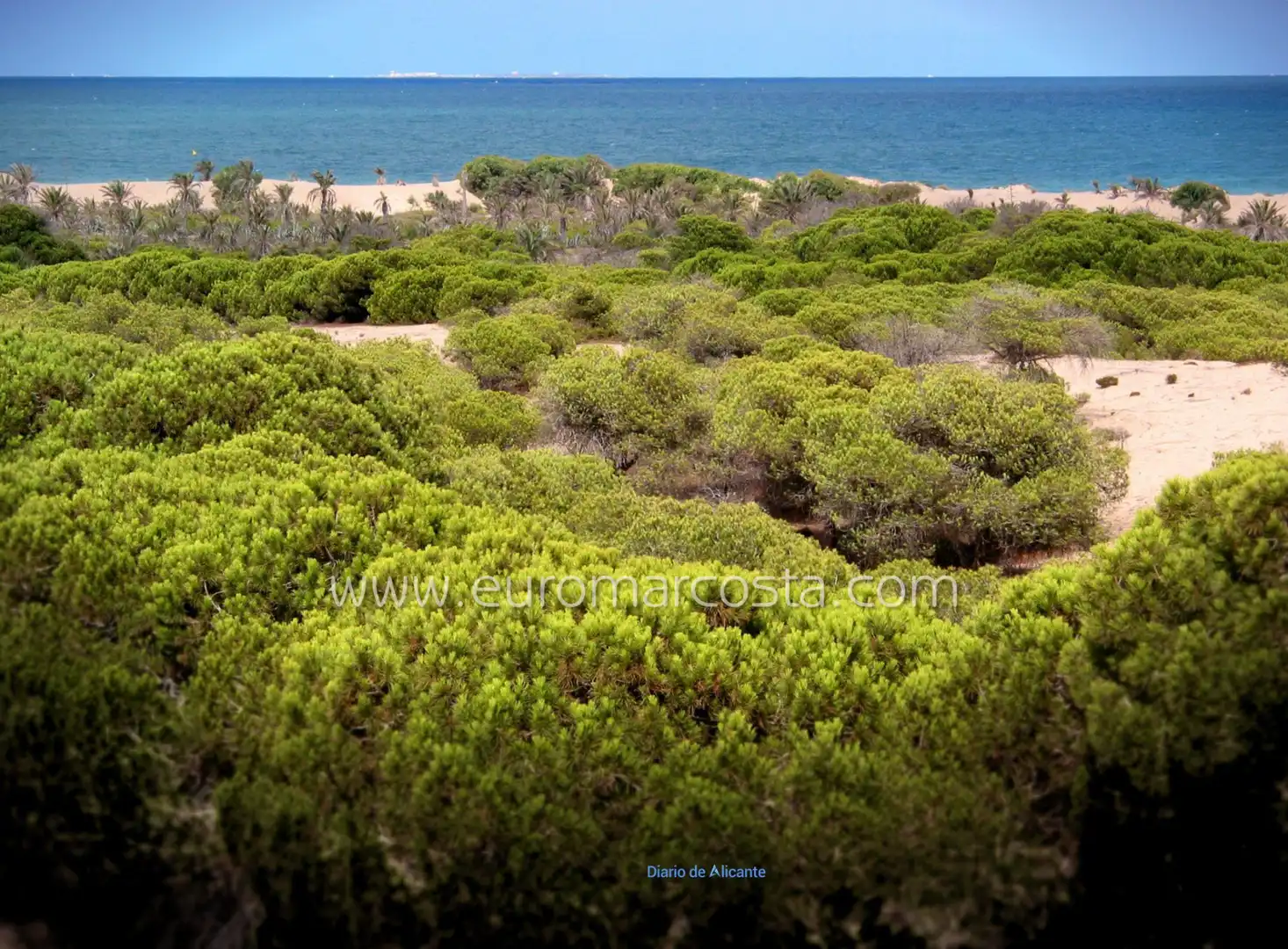 Apartamento con ascensor en venta en Carrer la Pau, imagen 25