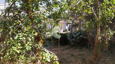 Foto 3 de Casa o xalet en venda a Vilariño, Piñor, Ourense