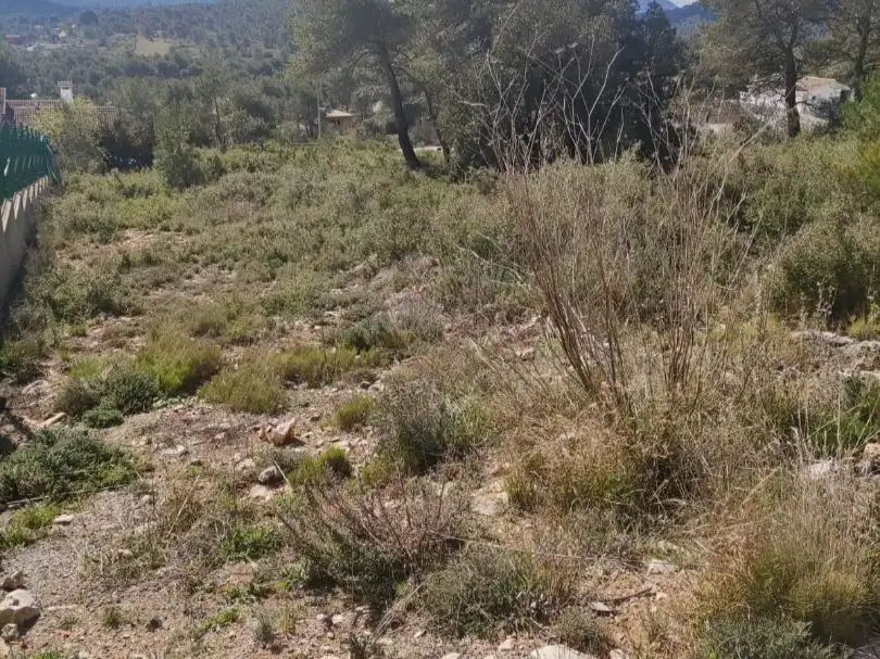 Terreno residenziale in vendita a Buenavista 1079