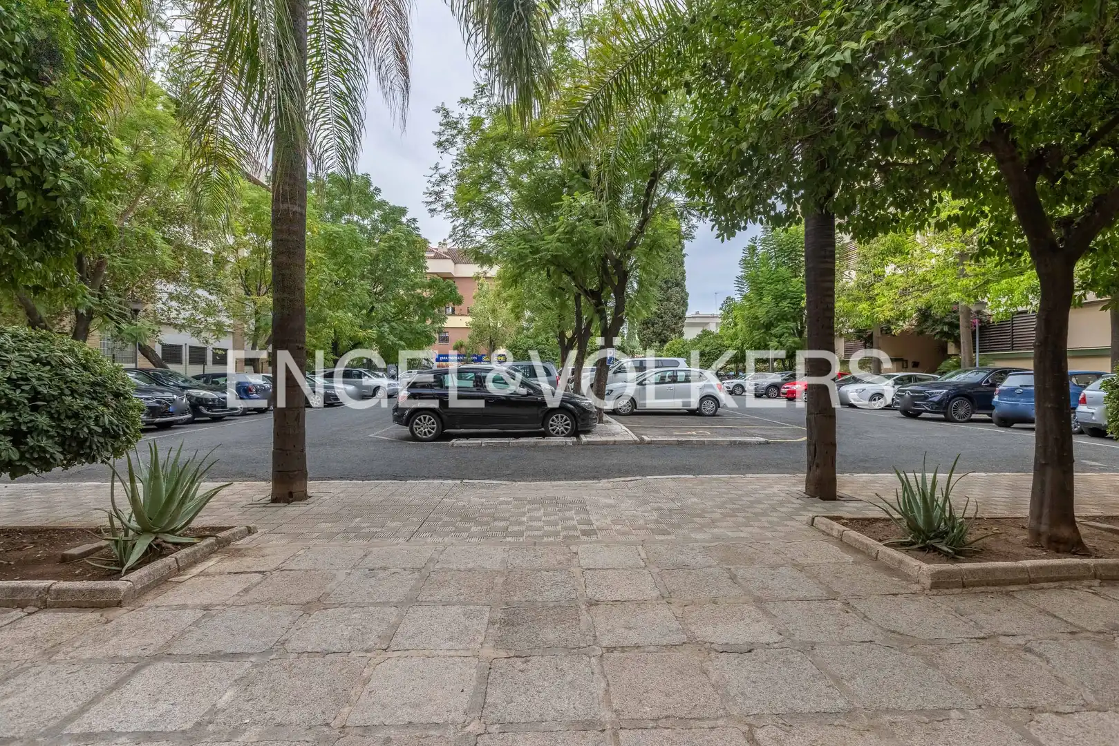 Appartamento con giardino in vendita a Sur, imagen 44