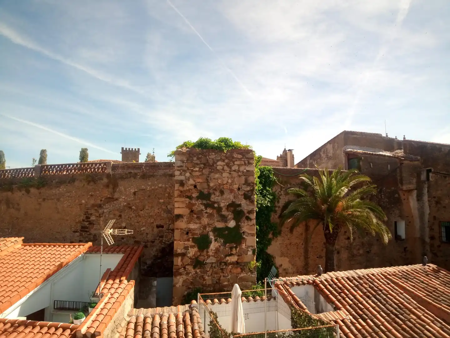Vista exterior de Apartamento de alquiler en Cáceres con Terraza, Amueblado y Horno