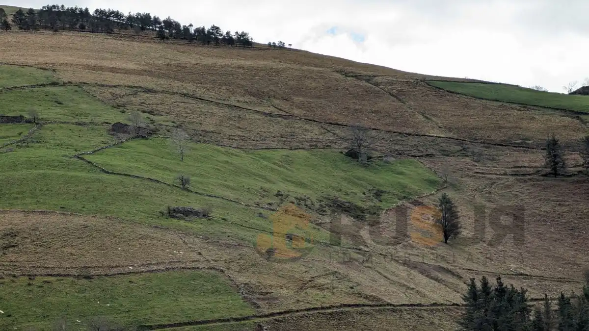 Finca rústica en venta en Selaya