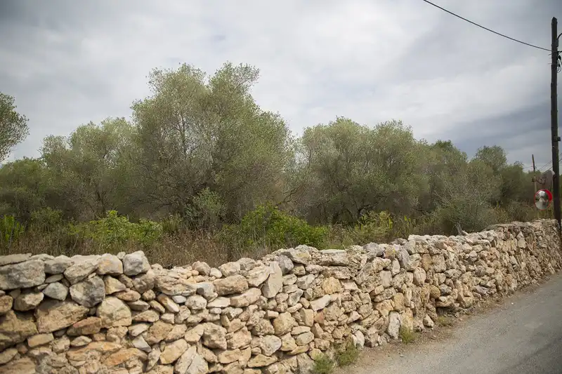 Residential zum Verkauf in Camí del Llorito, 114- Polígono 5, Urbanitzacions de Llevant