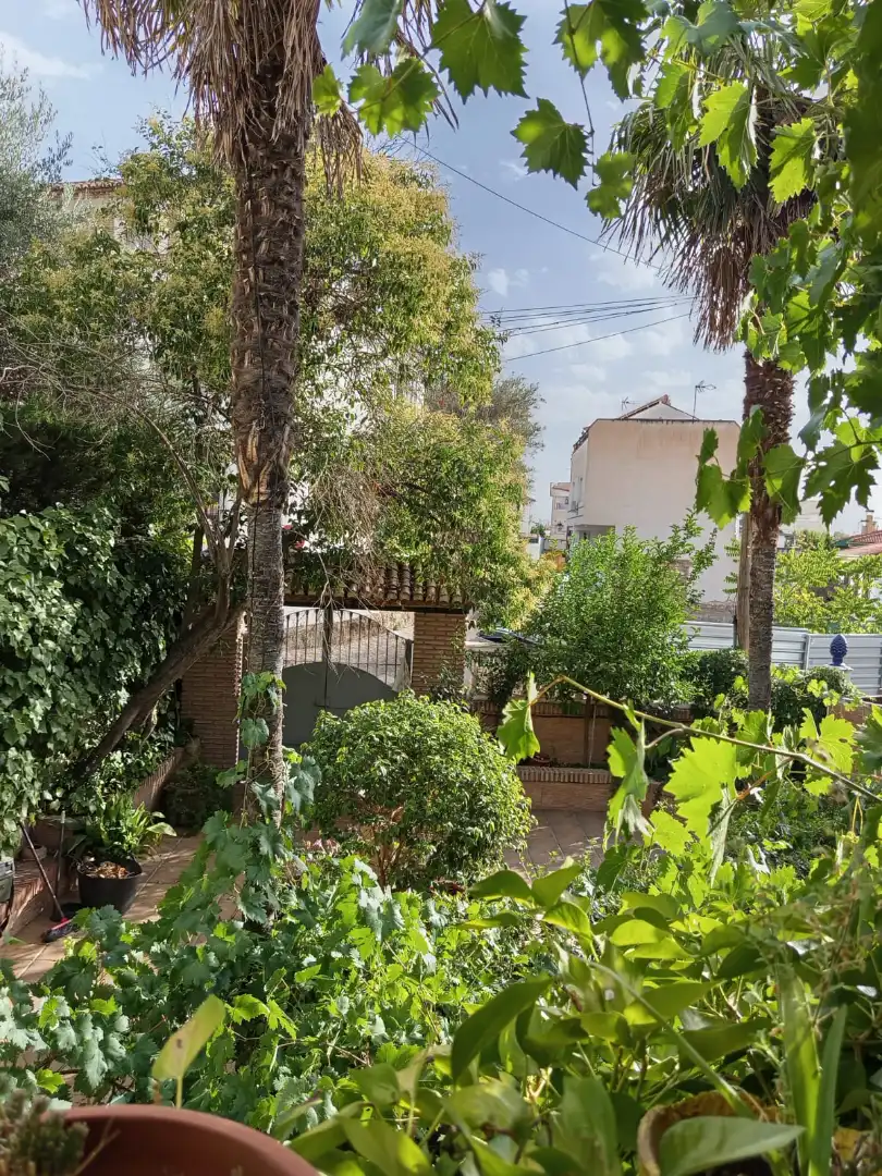 Jardí de Casa o xalet en venda en La Zubia amb Jardí privat i Piscina