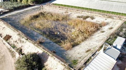 Photo 3 of Land for sale in Diseminado Madriles, 76, Balsicas, Torre-Pacheco