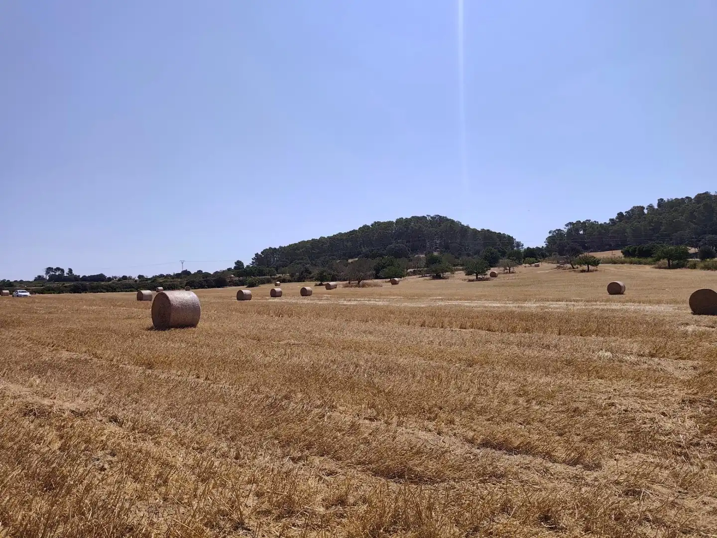 Terreno rústico en venta en Porreres, imagen 3