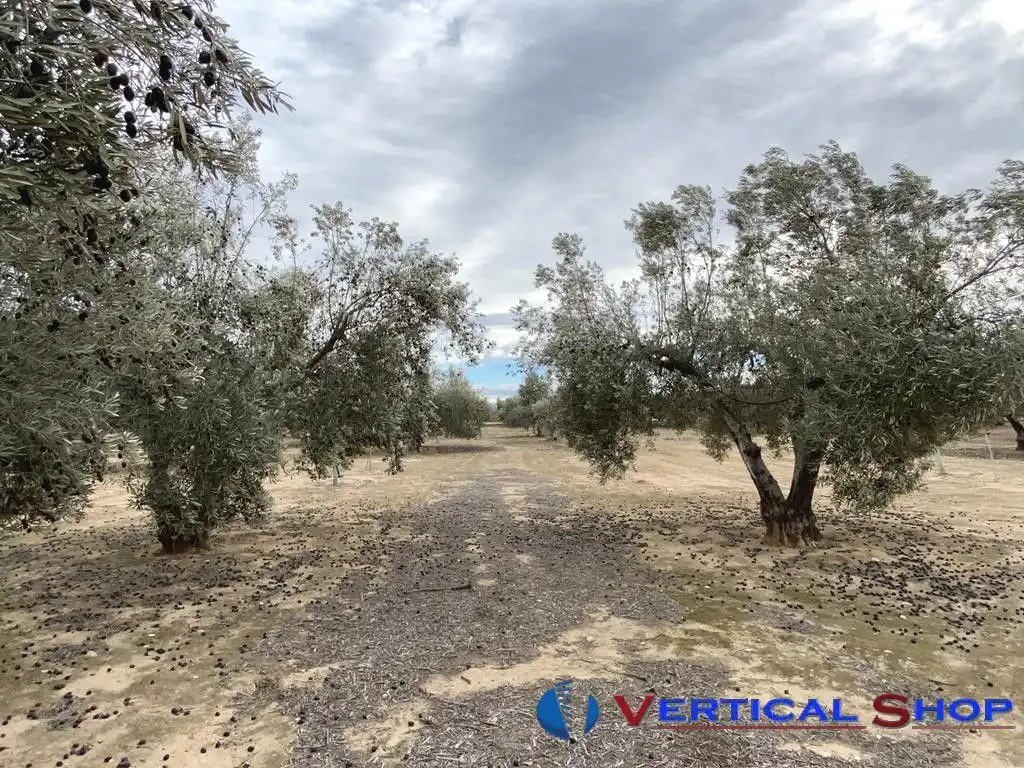 Casa o chalet en venta en Caudete