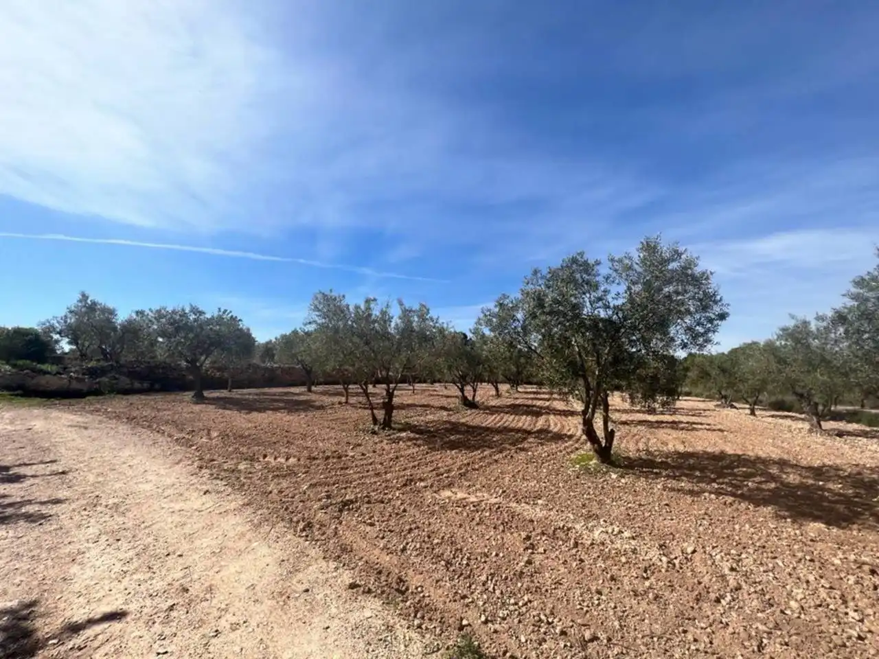 Chalet con jardín en venta en Calle Poligono, imagen 58