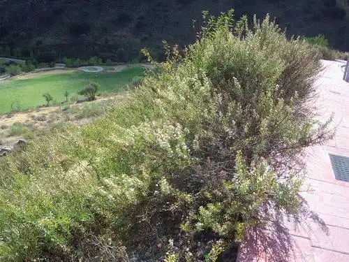 Terreni e lotti in vendita a URB ANTEQUERA GOLF, imagen 12