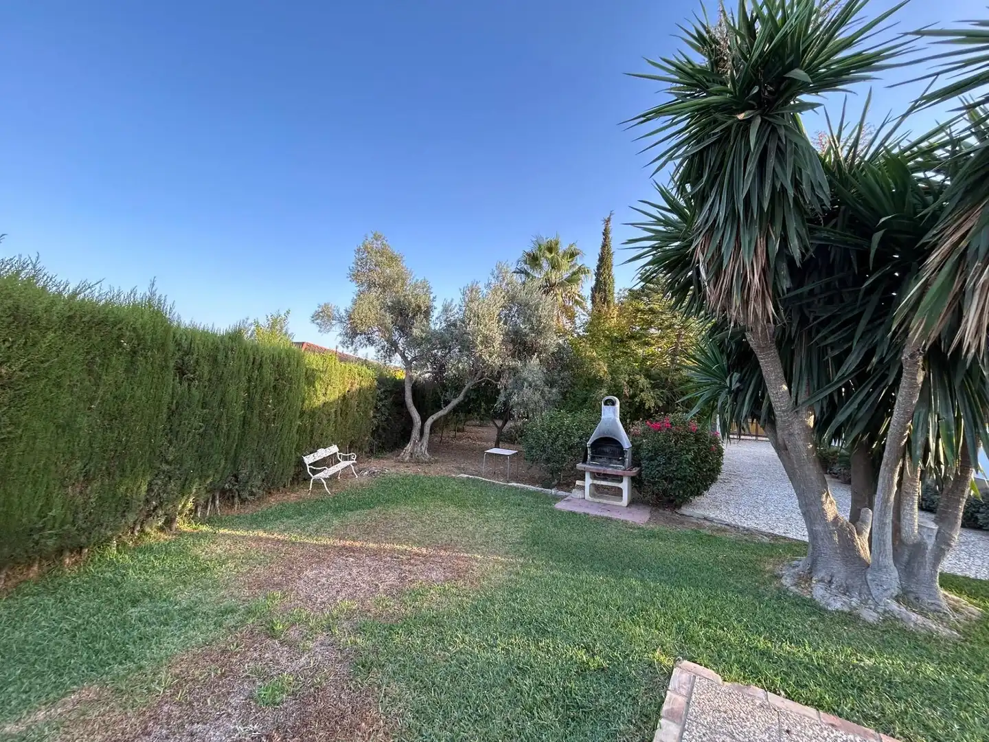 Jardín de Casa o chalet en venta en Carmona con Aire acondicionado, Terraza y Piscina