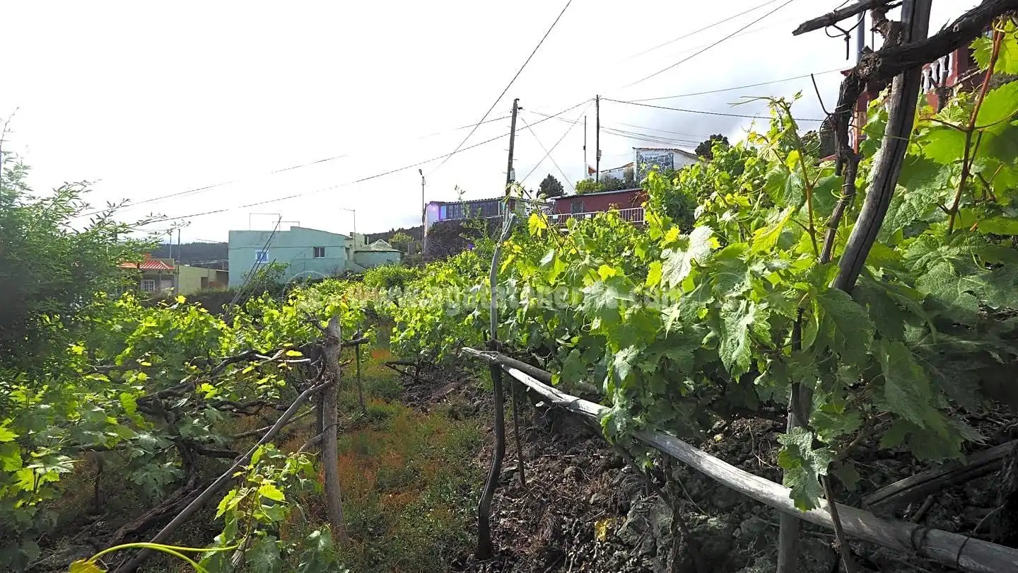 Lands and plots for sale in La Vega - El Amparo - Cueva del Viento, imagen 14
