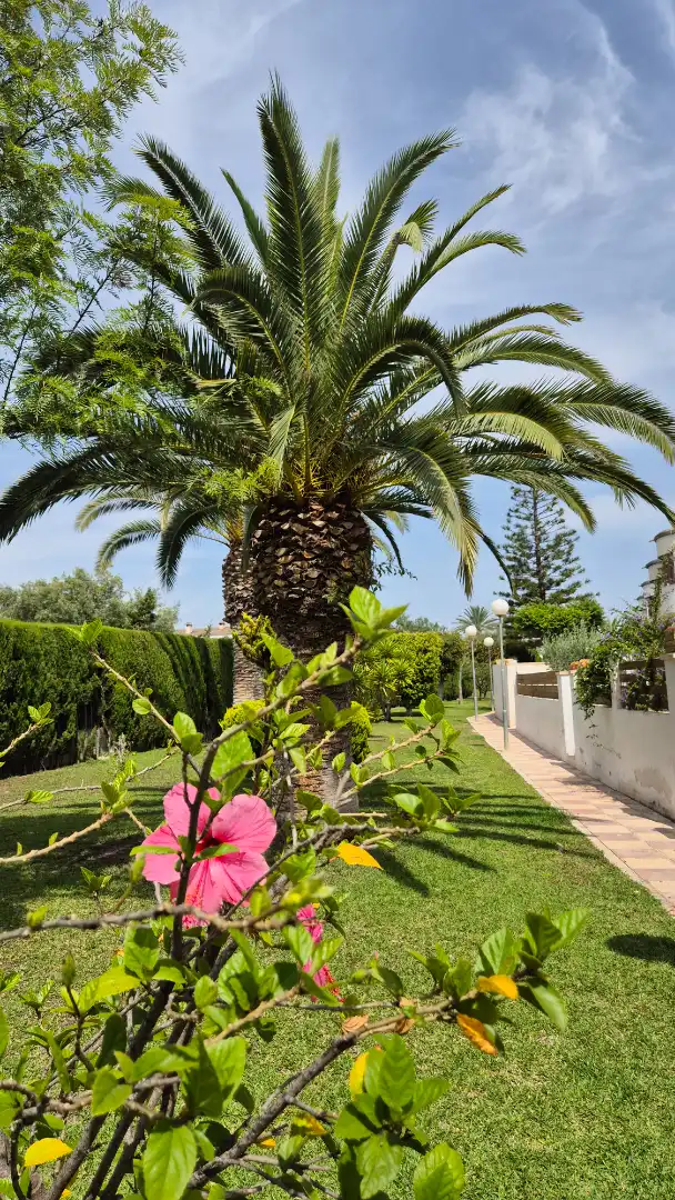 Garden of Detached homes for sale in Elche / Elx  with Air Conditioner, Heating and Terrace