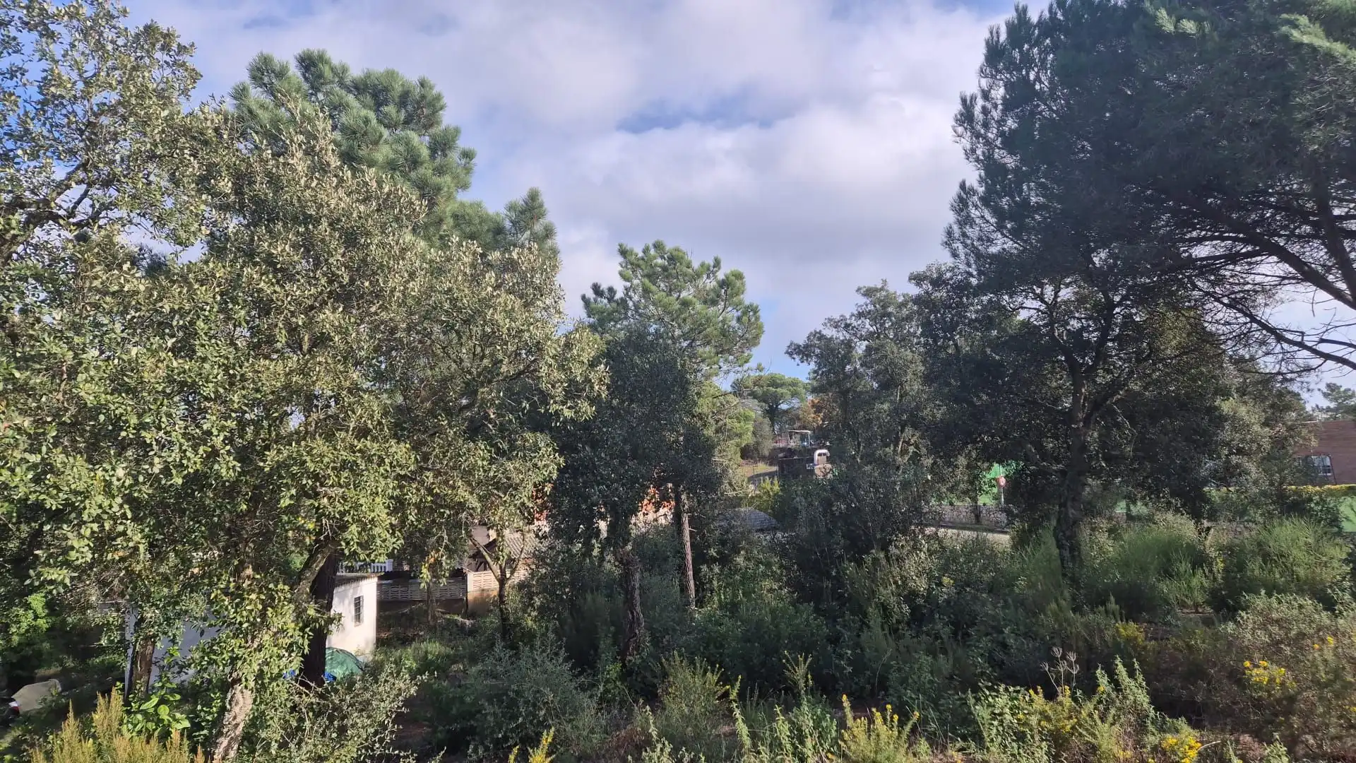 Terrenos y solares en venta en Lloret Residencial - Montlloret, imagen 6