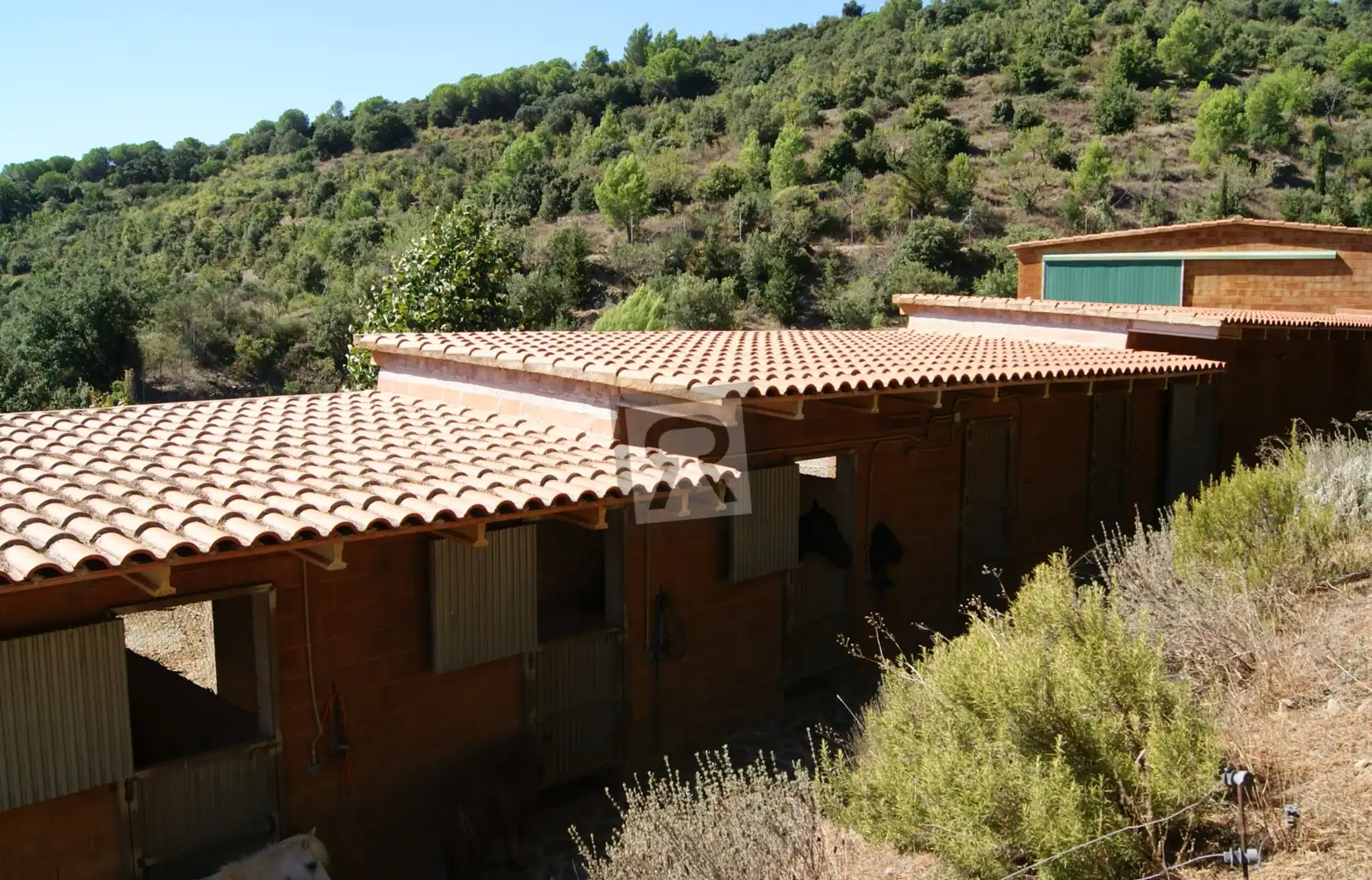 Vista exterior de Finca rústica en venta en L'Albiol con Calefacción, Jardín privado y Piscina