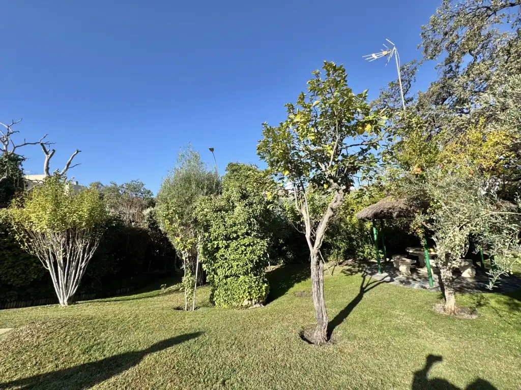 Jardín de Casa o chalet en venta en Algete