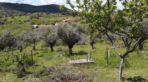 Foto 4 de Finca rústica en venda a Miralvalle - Av. Virgen del Puerto - La Data, Cáceres