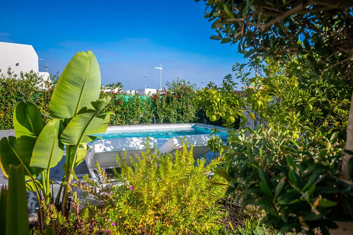 Casa con piscina in vendita a Algorfa, imagen 9