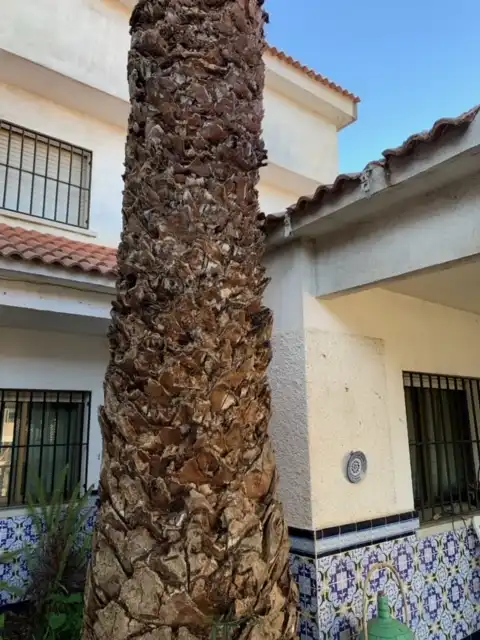 Vista exterior de Casa o chalet en venta en La Adrada  con Calefacción, Jardín privado y Trastero