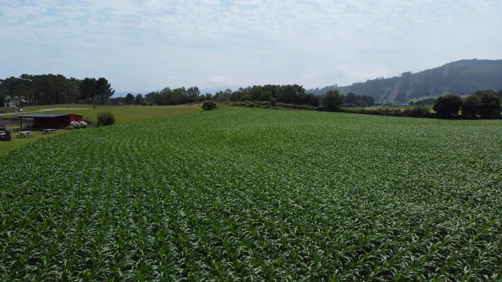 Residencial en venda en Navia