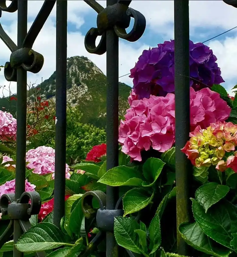 Maison avec jardin à vendre à Posada - Barro, imagen 40