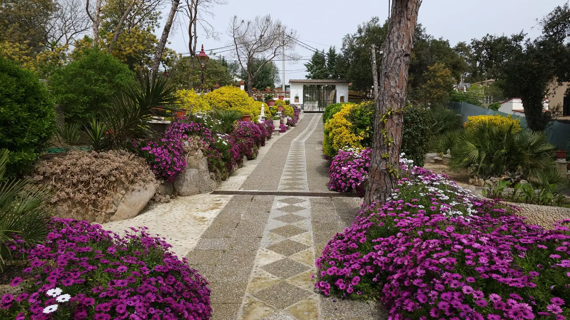 Villa avec piscine à vendre à Mas Altaba - El Molí, imagen 2