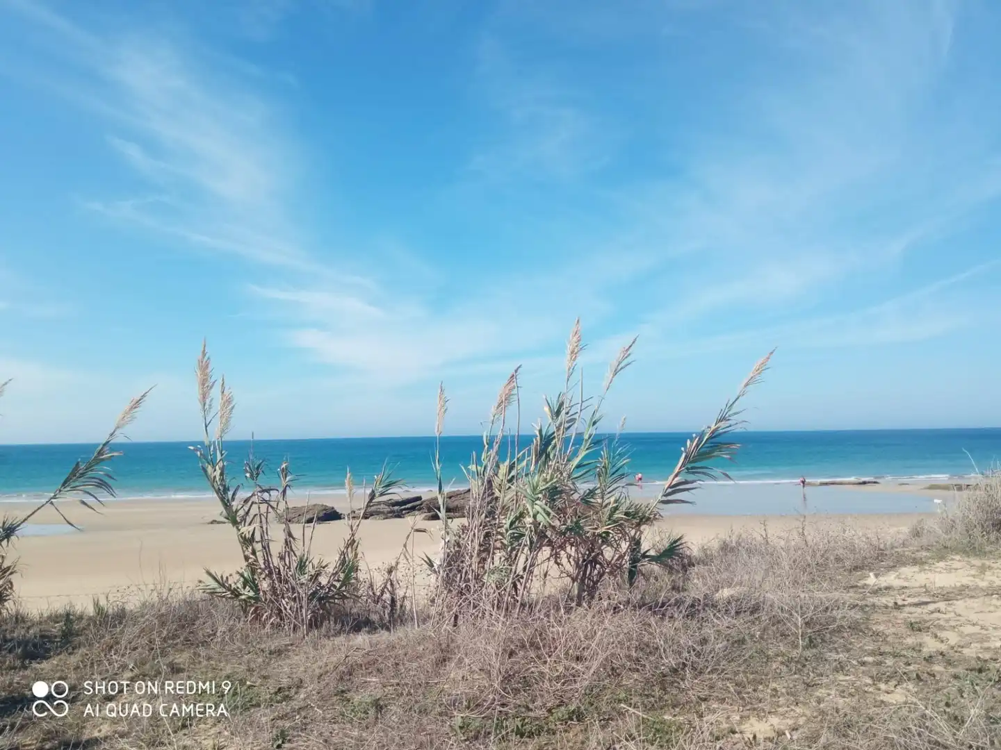 Terreni e lotti in vendita a Vejer, imagen 3