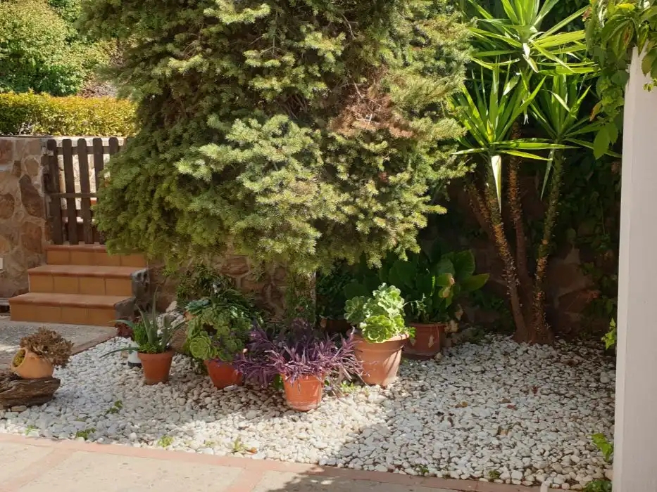 Haus mit Garten zum Verkauf in C/ SIERRA SUR 25, imagen 6