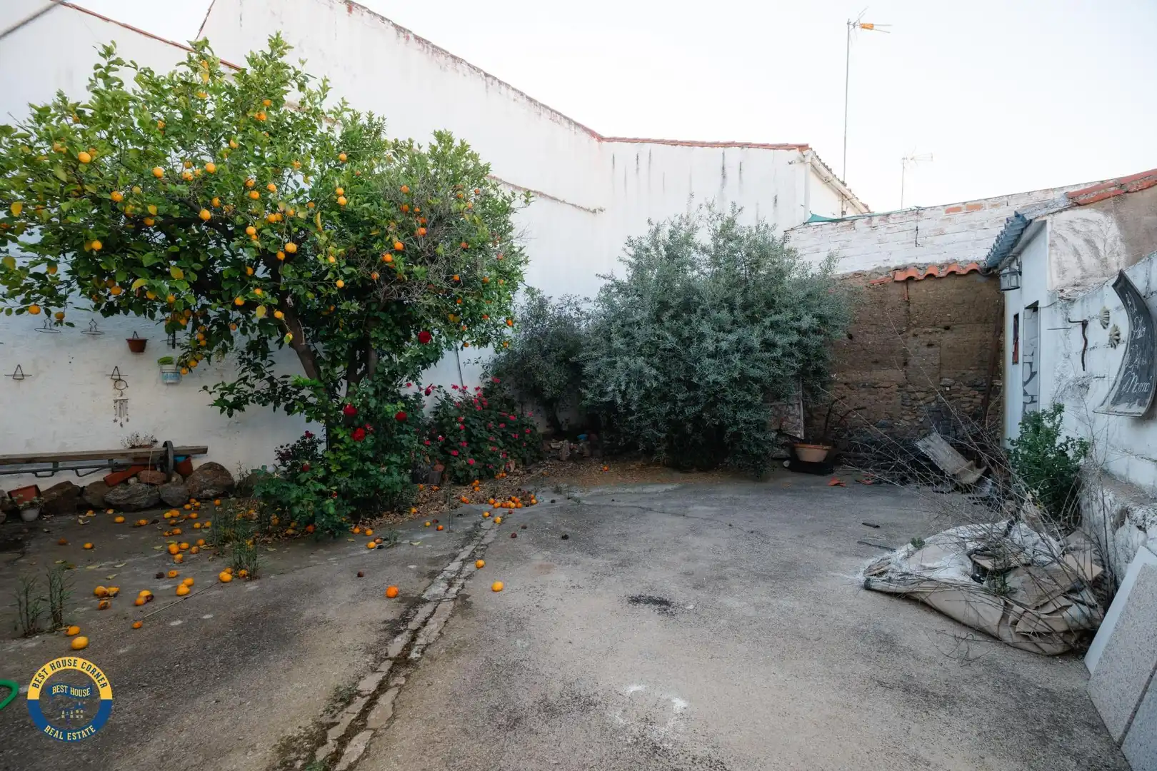 Jardín de Casa o chalet en venta en Puebla del Prior con Jardín privado