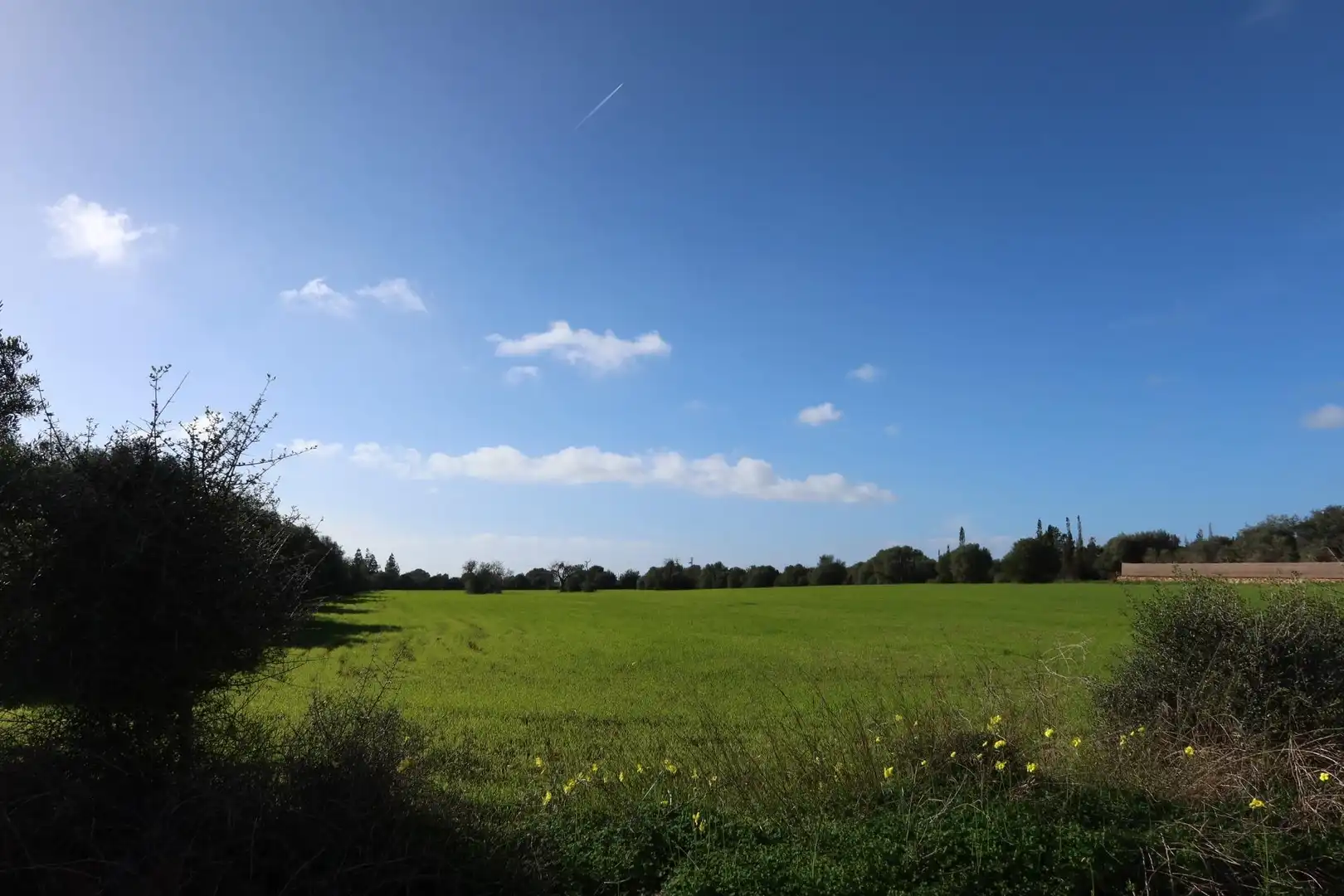 Residential land for sale in Campos poble, imagen 11