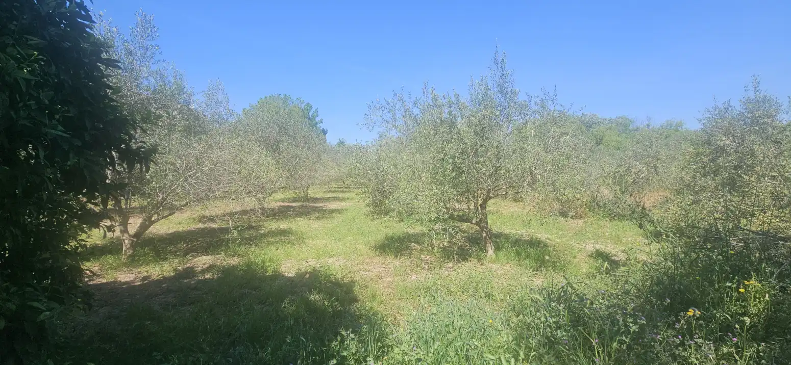 Casa o chalet en venta en Alguazas